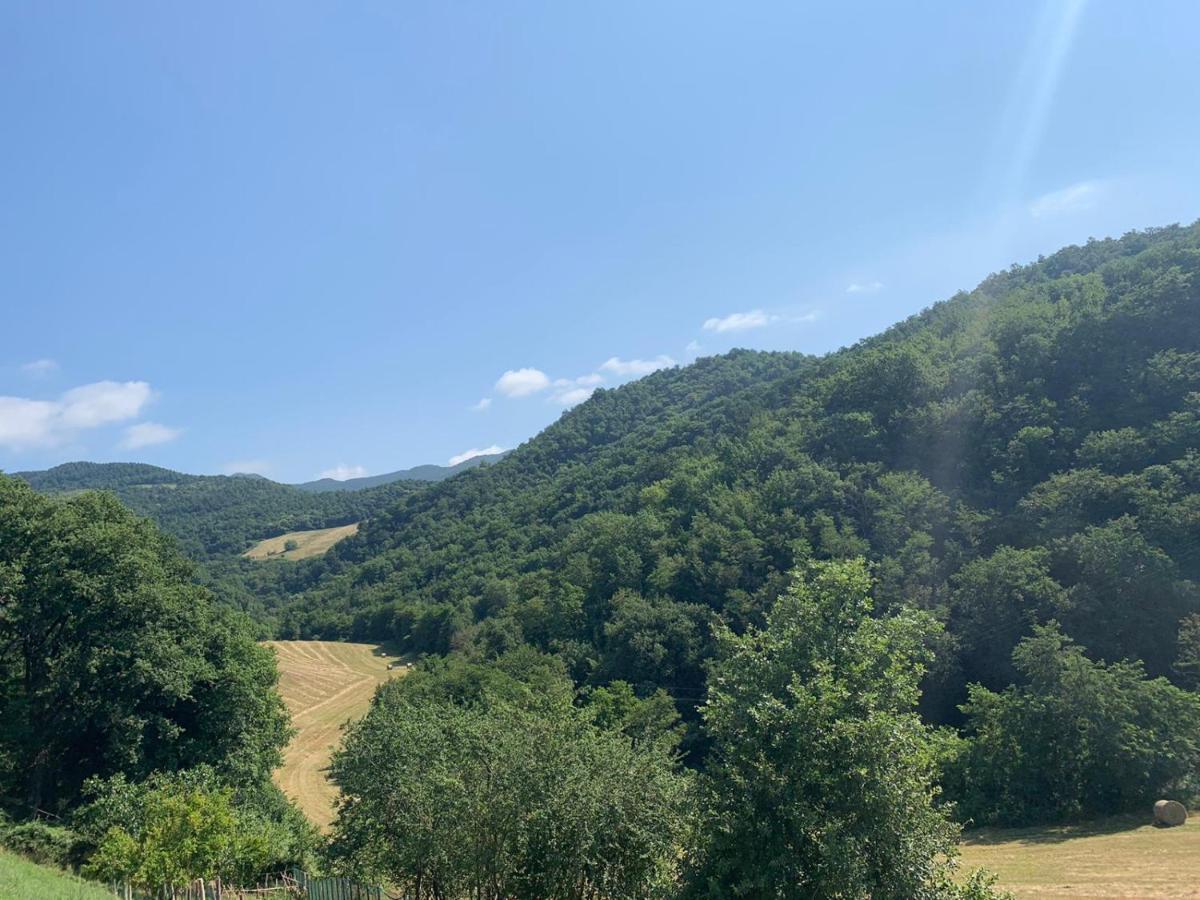 B&B Villa Bianca Sant'Agata  Zewnętrze zdjęcie