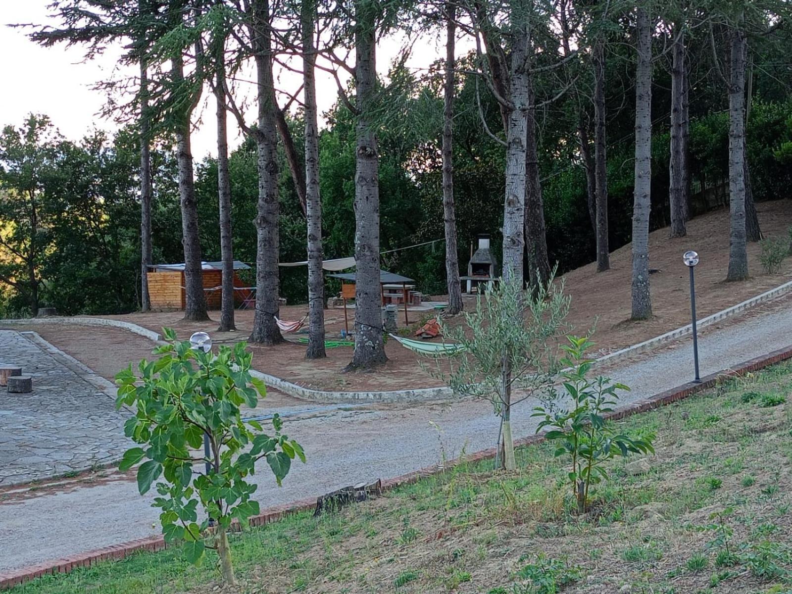 B&B Villa Bianca Sant'Agata  Zewnętrze zdjęcie
